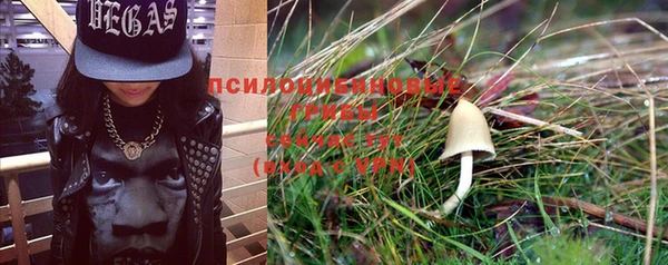 дживик Протвино