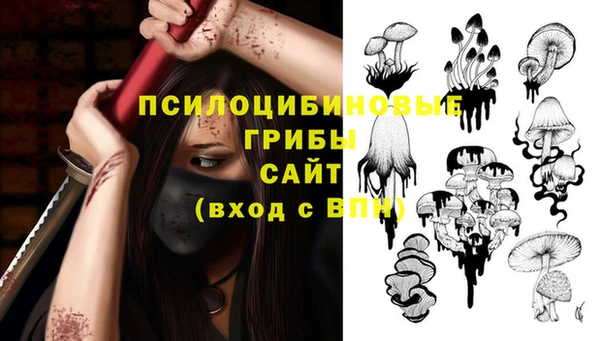 ECSTASY Пролетарск