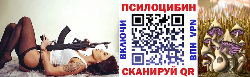 Псилоцибиновые грибы мицелий  Купить  Яранск 