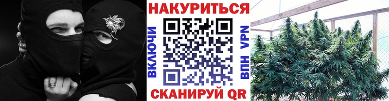 Шишки марихуана сатива  Купить  Яранск 